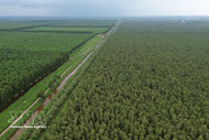 Ca Mau